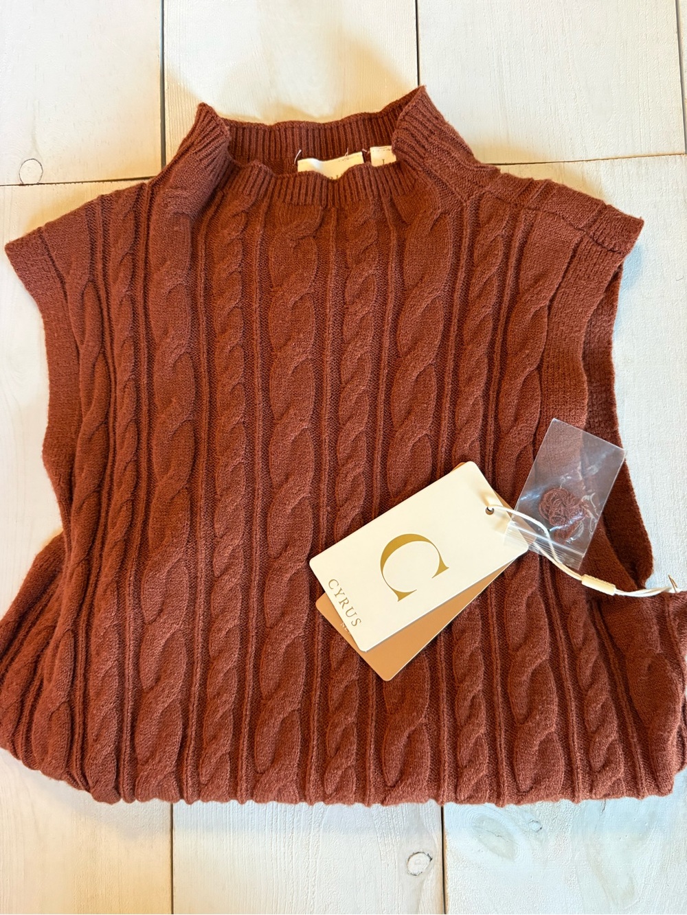 Cyrus Womens Cable Knit Mock Neck Top - Rust Size Large NWT Retails for $69